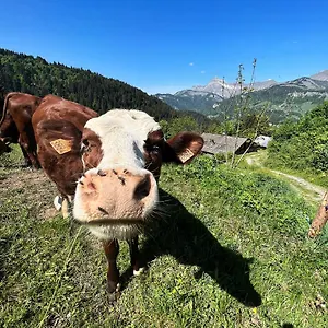 https://chez-francine.hotels-rhonealpes.com